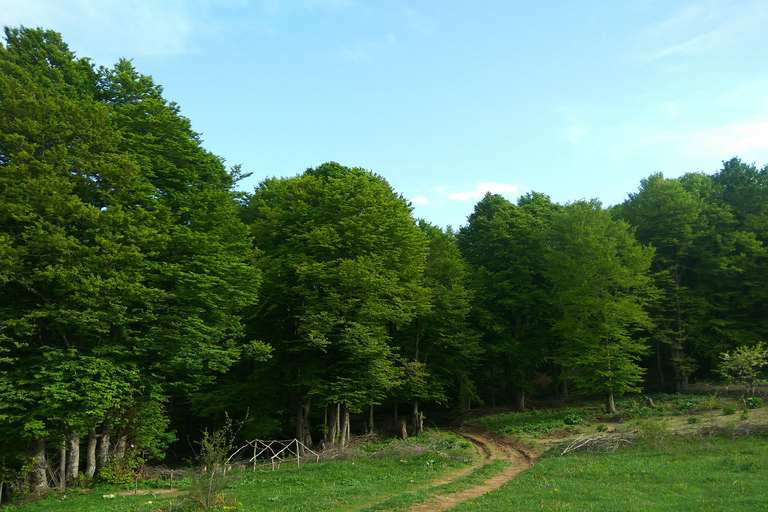 Skopje-Ohrid MTB Experience: Neverending views of Macedonia