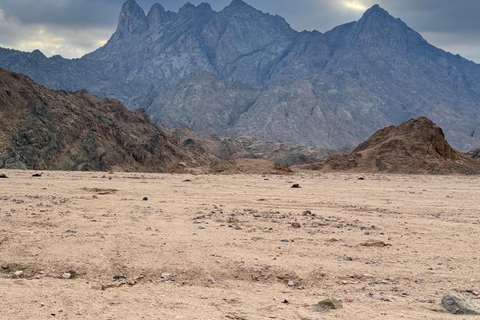 Hurghada: Mount Shaib El Banat Tour with Sandboarding Sand boarding and hiking & camel ride