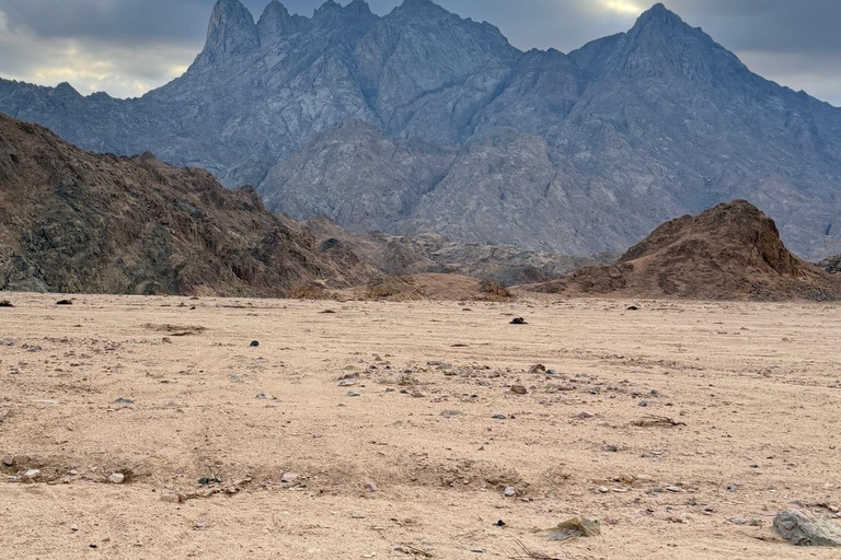 Hurghada: Mount Shaib El Banat Tour with Sandboarding Sand boarding and hiking & camel ride
