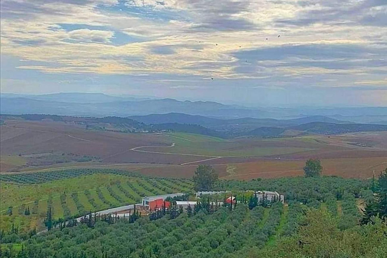 Nordeste da Tunísia: Oliveiras e beleza cênica