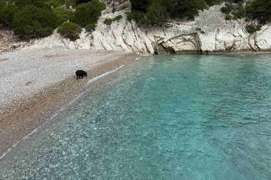 Nydri: Piggy-Bootsfahrt mit Seven Islands Cruises. Foto: GetYourGuide Nydri: Piggy-Bootsfahrt mit Seven Islands Cruises. Foto: GetYourGuide