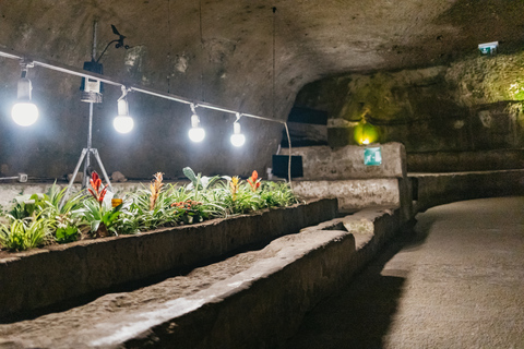 Naples: Naples Underground Entry Ticket and Guided TourGuided Tour in Italian