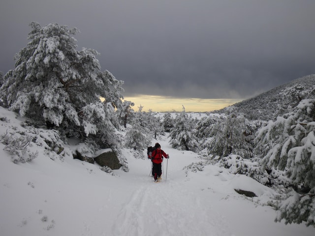 Madrid: Snowshoes