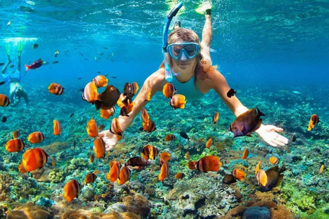 Cebú: Excursión por las islas de Mactan con snorkelCebú: recorrido por las islas Mactan con esnórquel