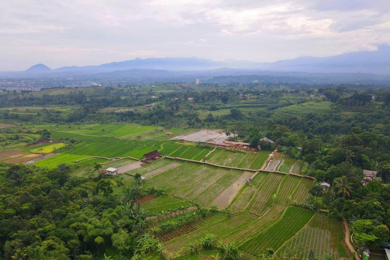 The Beautiful Garden, Rice Terrace and Waterfall In Bogor