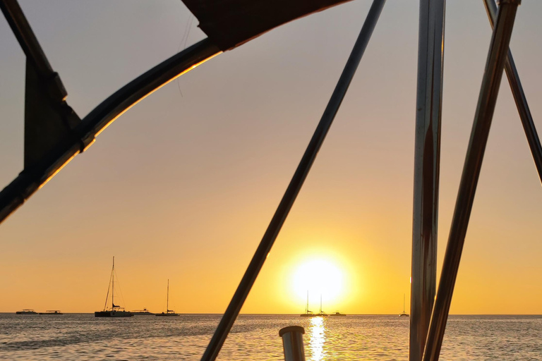 Saona Island: Private Yacht Tour with Lunch & Pickup