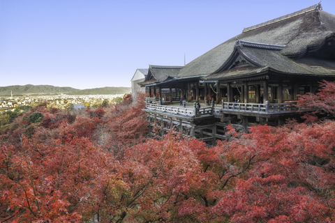 From Osaka/Kyoto: Kyoto UNESCO World Heritage Sites Day Tour From Osaka: Kyoto Full Day Tour (7:30 Meet-up)