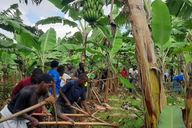 Besök Rwanda Tour