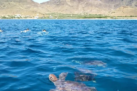 Snorkeling with turtles at Sao Pedro's Beach