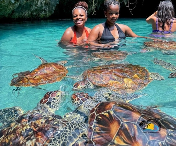 Zanzibar: Swimming with Turtles at Salaam Cave Aquarium