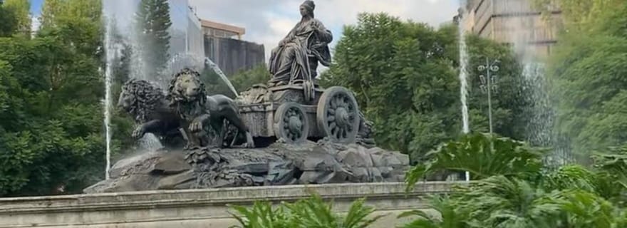 Mexico : visite guidée à vélo de la culture et des saveurs locales