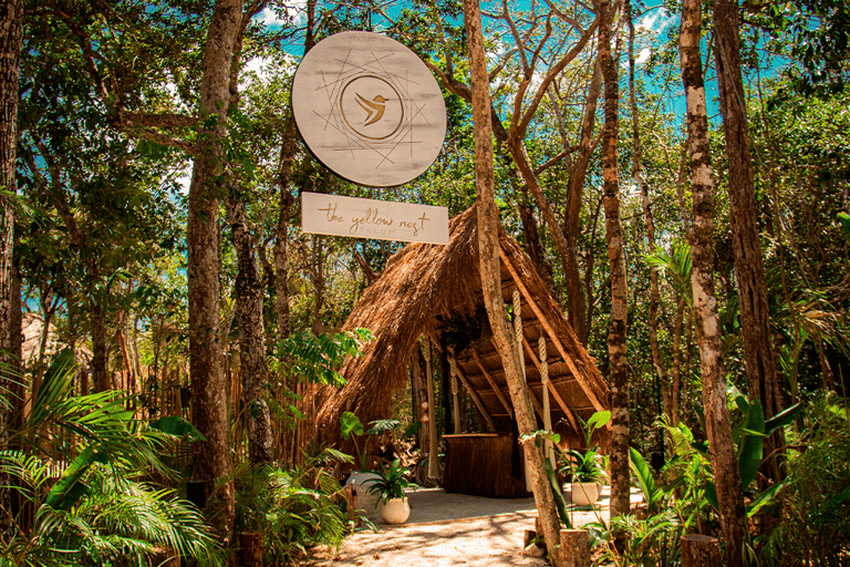Tulum: Floating Breakfast in The Yellow Nest (Day Pass) Floating Breakfast in The Yellow Nest (DAY PASS)