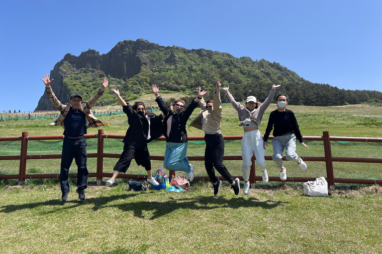 Voor gasten van Jeju Port Cruise : Unesco dagtour