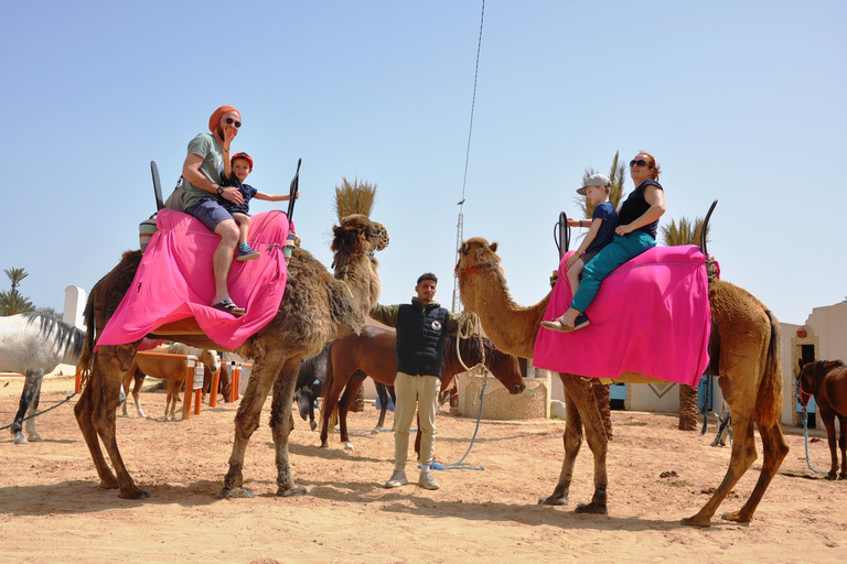 Djerba: Giro in cammello verso la Laguna Blu al tramonto