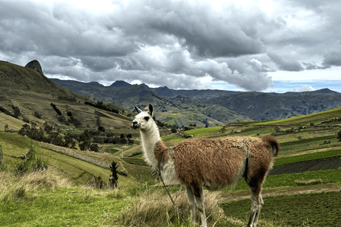 1 Tag Abenteuer in Cotopaxi und Quilotoa von Quito ausGemeinsame Tour