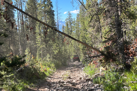 Jackson Hole: Private Curtis Canyon UTV Adventure Jackson Hole: Curtis Canyon UTV Adventure