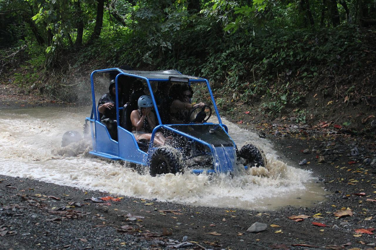 Puerto Plata: Jungle Buggy Quest & Ancestral Senses