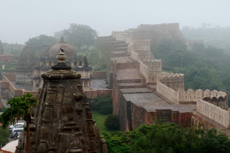 Depuis Udaipur : Excursion privée d&#039;une journée à Kumbhalgarh et Ranakpur