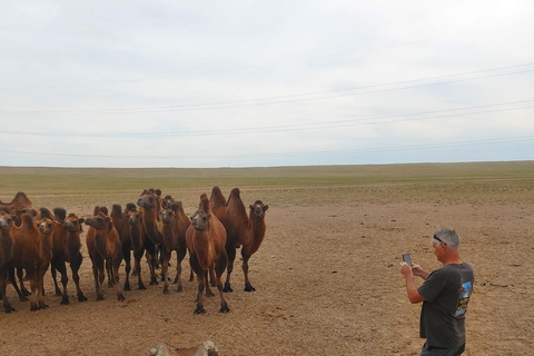 Ulaanbaatar: Khustai NP, Semi Gobi & Kharkhorin Tour