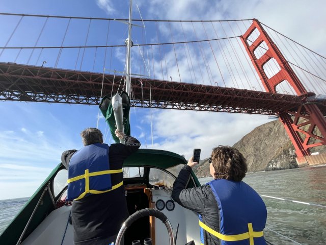 Esperienza di navigazione privata di 2 ore nella baia di San Francisco 6 ospiti
