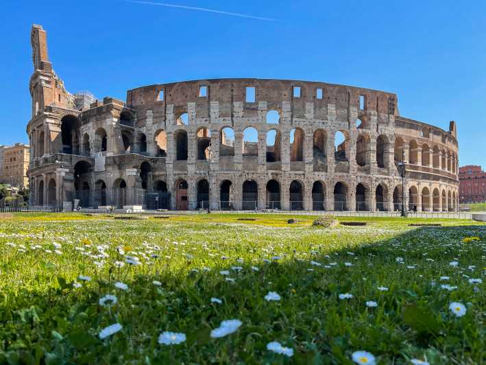 Pääsy gladiaattoriareenalle ja kierros Colosseumilla