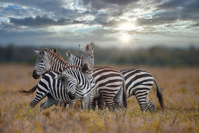 Nairobi:3 Days trip to Ruma National park