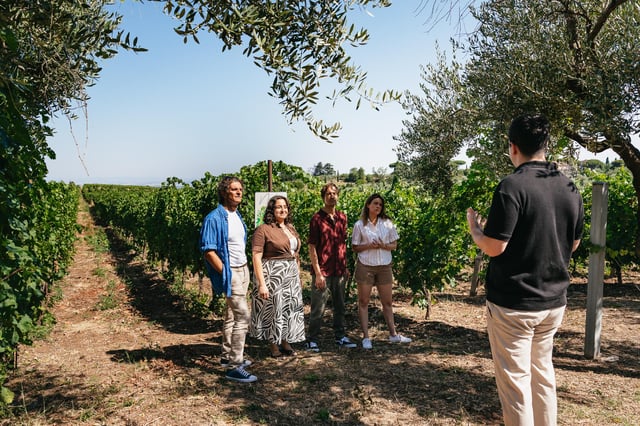 Rom auf dem Land: Wine Tasting Tour mit privatem Fahrer