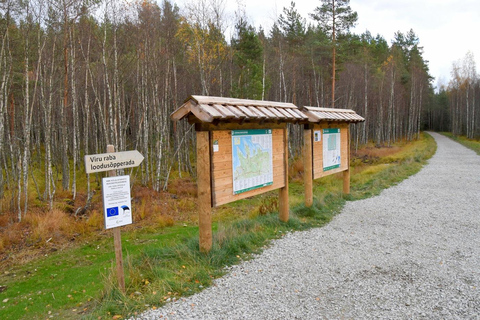 Odkryj Estonię - wycieczka samochodowa na torfowisko Viru i do wodospadów.