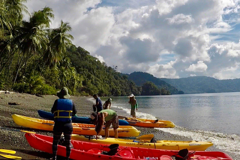 Manuel Antonio: Kayak di mare o SUP - Guida turistica della Costa Rica