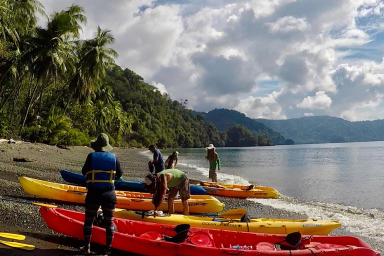 Manuel Antonio: THE 5 BEST Things to Do All Tours-Costa Rica