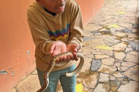 Nairobi: National Museum and Snake Park Guided Tour