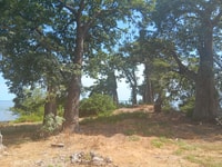 Roots tour /James Island - Housity