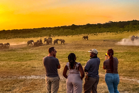 Victoria Falls: Game Walk in the Zambezi National Park Morning Game Walk