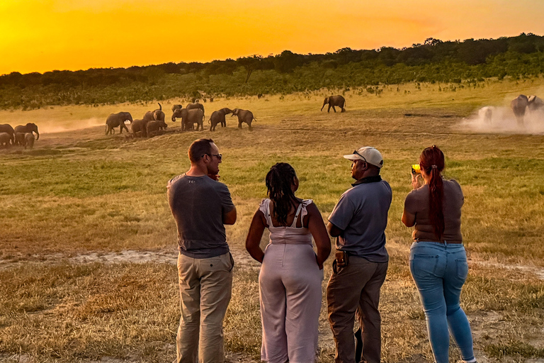 Victoria Falls: Game Walk in the Zambezi National Park Afternoon Game Walk