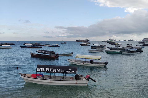 Zanzibar: Prison Island & Nakupenda Sandbank with BBQ Tour without pick up and drop off.
