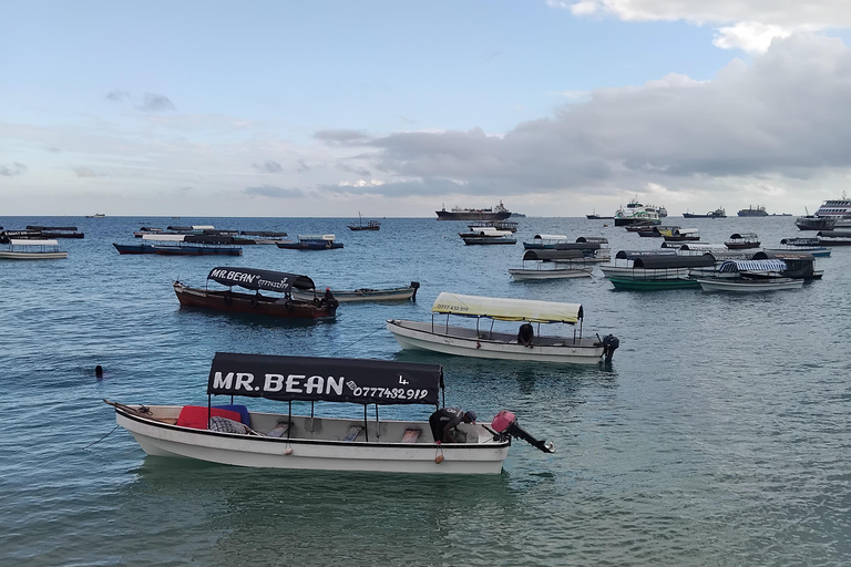Zanzibar: Prison Island & Nakupenda Sandbank with BBQ Tour without pick up and drop off.