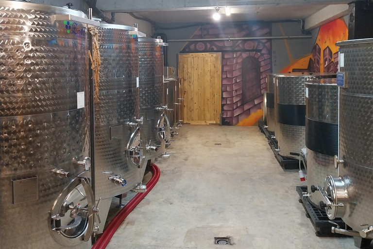 10 Essential Varna Experiences: The Complete Guided Tour