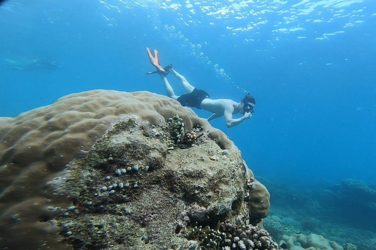 Private Snorkeling in Gili Trawangan, meno & air with goopro Option 1:Private Snorkeling in Gili T,meno & air with goopro