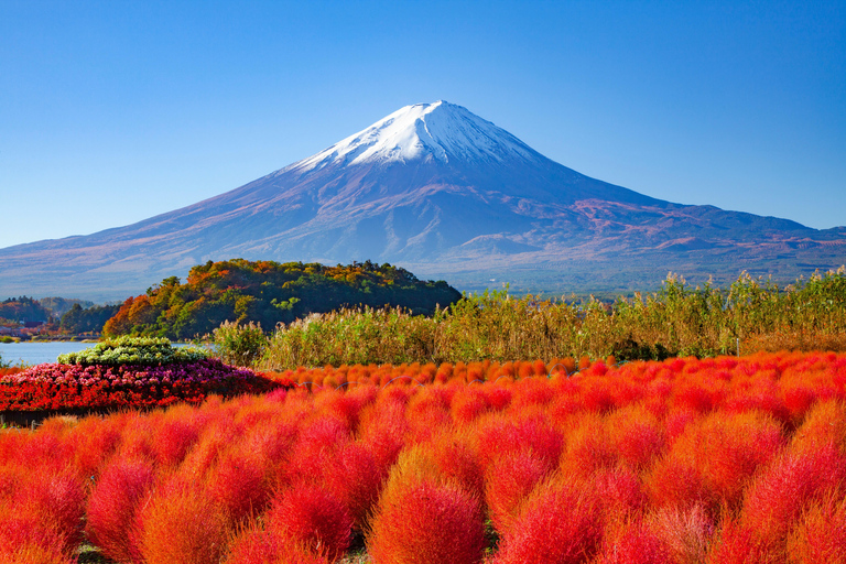 Tokyo: Mount Fuji Day Tour, Oshino Hakkai, Lake Kawaguchi Lunch Excluded | 8:30 AM from Shinjuku Station
