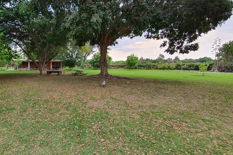 Huacachina: Pisco Route and a visit to the city of Ica