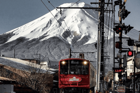 Tokyo: Mount Fuji Must See Private Tour Adjustable Itinerary