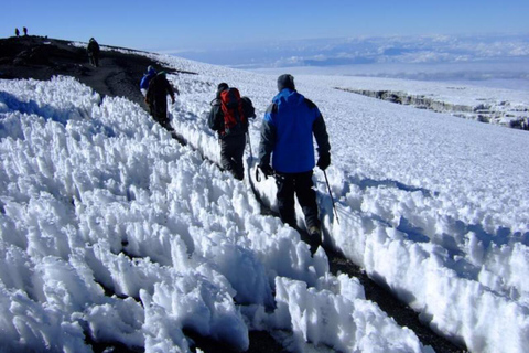 6 Days Climbing Mt. Kilimanjaro Via Machame Route