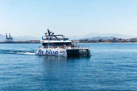 Malaga: Catamaran Cruise with Optional Swimming Stop