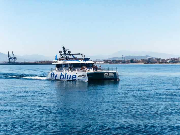 Malaga: crociera in catamarano e sosta opzionale per nuotare