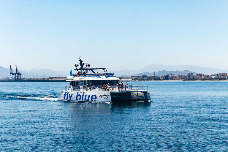 Málaga: Cruzeiro de catamarã com parada opcional para nadarPasseio Diurno de 1 Hora sem Parada para Mergulho