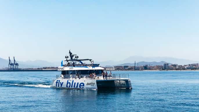Málaga: Crucero panorámico en catamarán