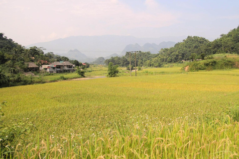 From Hanoi: Mai Chau Valley Day Trip with Cycling