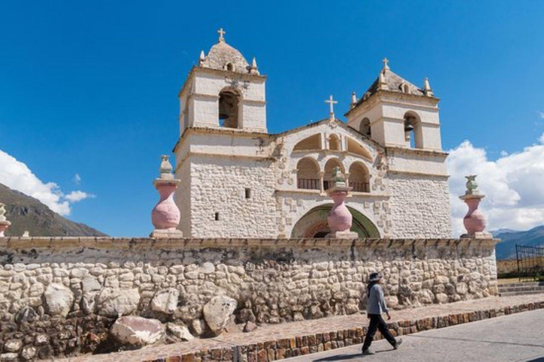 From Arequipa: Colca Canyon and Condor Watching Day Trip