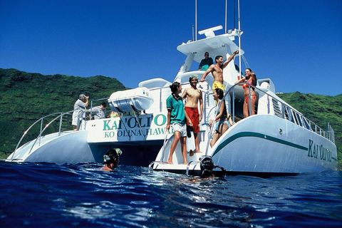 Oahu: 3 Zipline & All Inclusive Dolphin Watch Snorkel Cruise