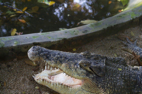 Melaka Crocodile & Recreation Park Admission Ticket